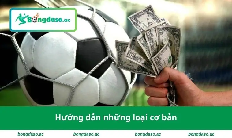 Hướng dẫn những loại cơ bản